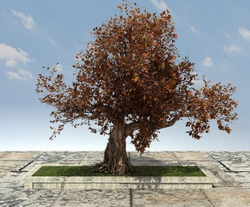 Modern Tree-ID:148089891