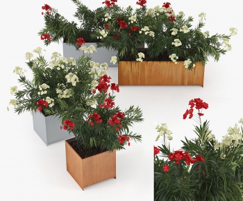 Modern Flower Bed, Flower Bowl, Flower Box-ID:538458822