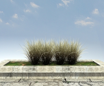 Modern The Grass-ID:961062919