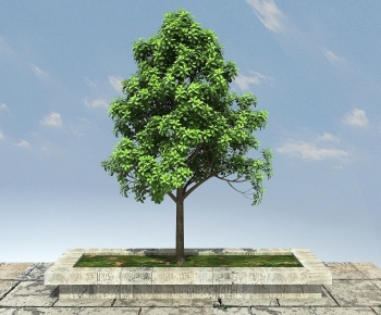 Modern Tree-ID:776928905