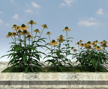 Modern Flowers And Grass-ID:886688953