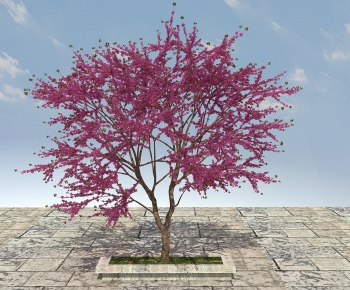 Modern Tree-ID:816760112