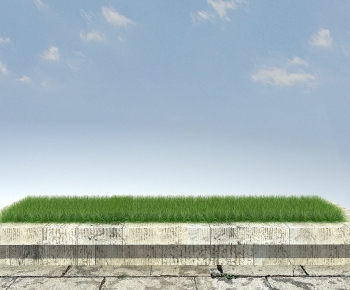 Modern The Grass-ID:250344997