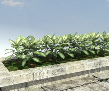 Modern The Grass-ID:999370105