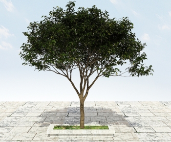 Modern Tree-ID:177613971