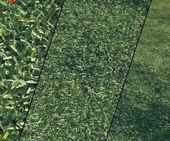 Modern The Grass-ID:256069909