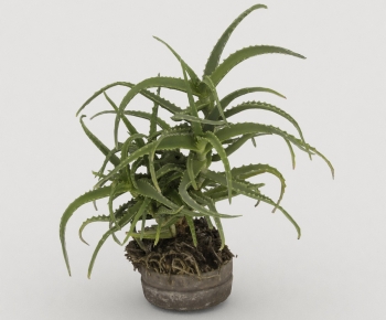 Modern Potted Green Plant-ID:258780969