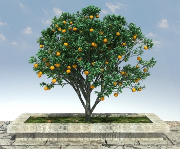 Modern Tree-ID:904887918