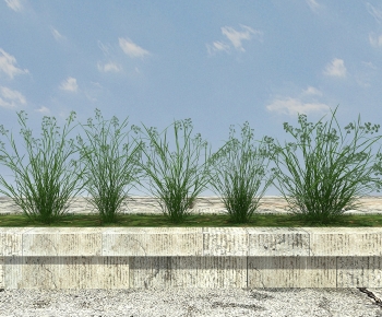 Modern Flowers And Grass-ID:141479021