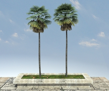 Modern Tree-ID:407150032