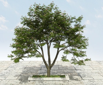 Modern Tree-ID:525773055