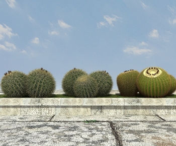 Modern Other-ID:655385973