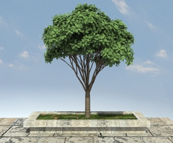 Modern Tree-ID:400983109