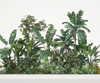 Modern Plant Landscaping-ID:531318904