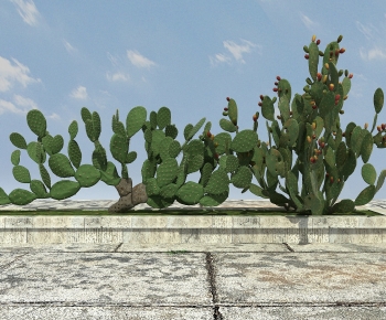 Modern Other-ID:826457986