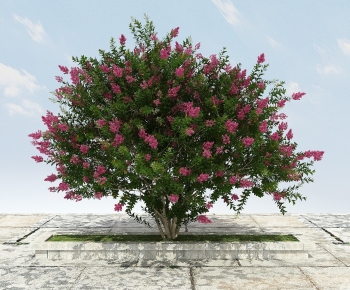 Modern Tree-ID:965398071