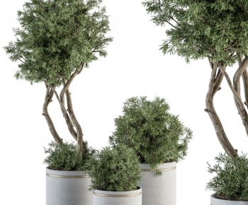 现代落地绿植盆栽组合-ID:530746941