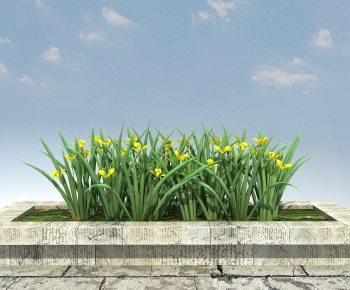 Modern Flowers And Grass-ID:582233912