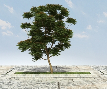 Modern Tree-ID:649065973