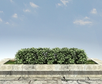 现代海桐绿篱灌木绿植组合-ID:731699577
