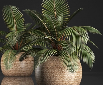 Modern Ground Green Plant Potted Plants-ID:702816019