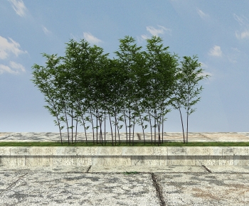 Modern Bamboo-ID:451159958