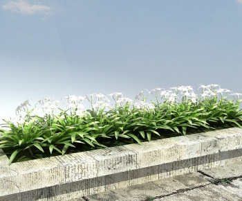 Modern Flowers And Grass-ID:842607028