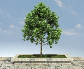 Modern Tree-ID:191122061