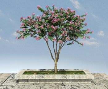 Modern Tree-ID:528429039