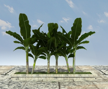 Modern Tree-ID:300894024