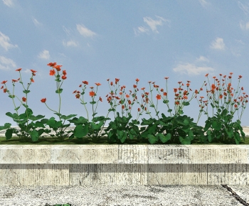 Modern Flowers And Grass-ID:310216906