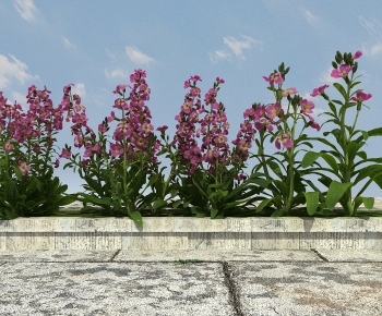 Modern Flowers And Grass-ID:590308908