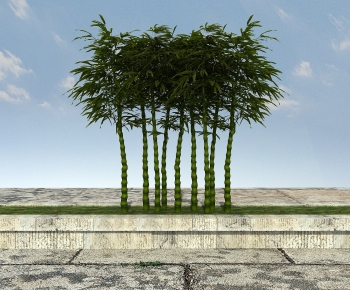 Modern Bamboo-ID:734148986