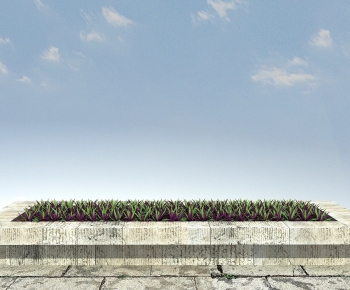 Modern The Grass-ID:264494903