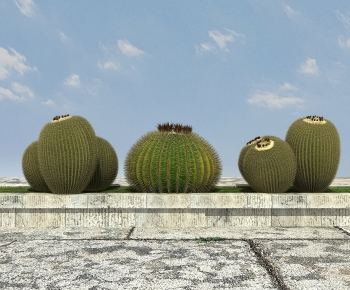 Modern Other-ID:172009572