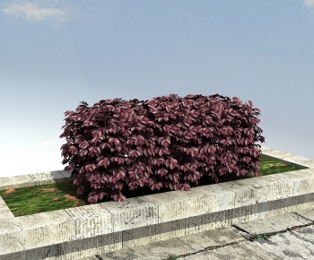 Modern Shrubbery-ID:614872936