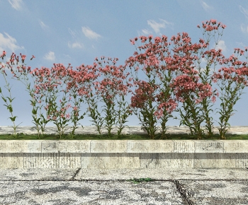 Modern Flowers And Grass-ID:654952056