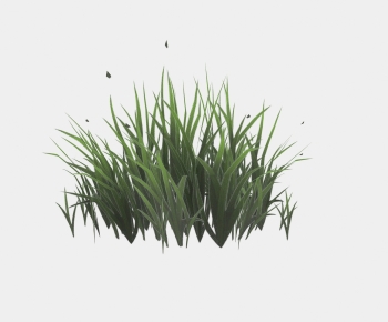 Modern The Grass-ID:598828081