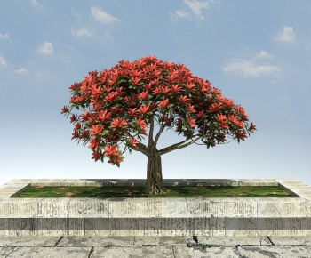 Modern Tree-ID:382498988