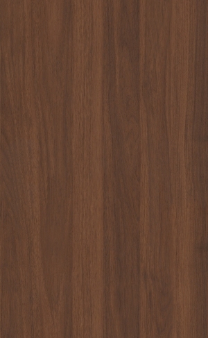 ModernWood Texture