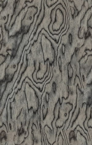 ModernWood Texture