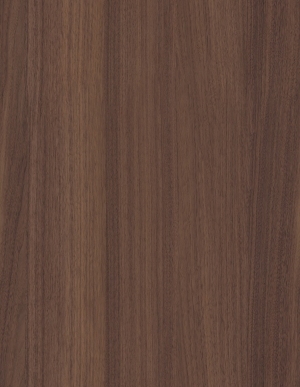 ModernWood Texture