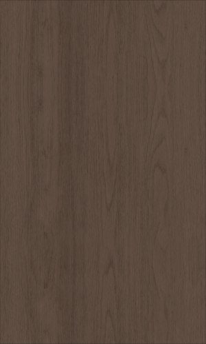 ModernWood Texture