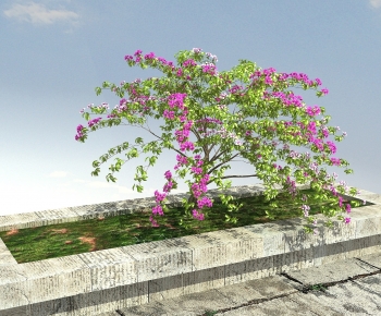 现代灌木花丛-ID:390362986