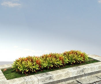 Modern The Grass-ID:648559097