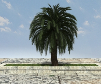 Modern Tree-ID:846551909