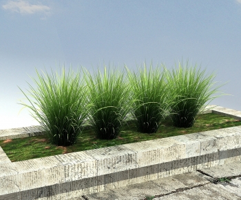 Modern The Grass-ID:130660064