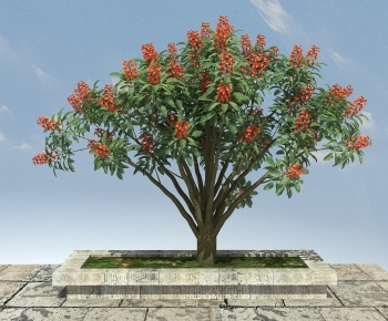 Modern Tree-ID:198538068