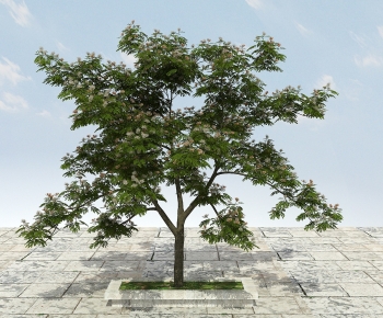 Modern Tree-ID:691437016