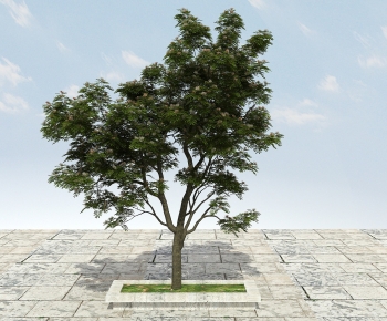 Modern Tree-ID:710500964